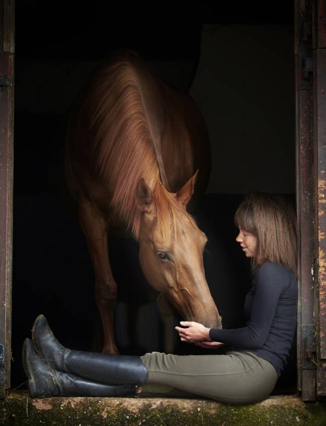 Horse Photography